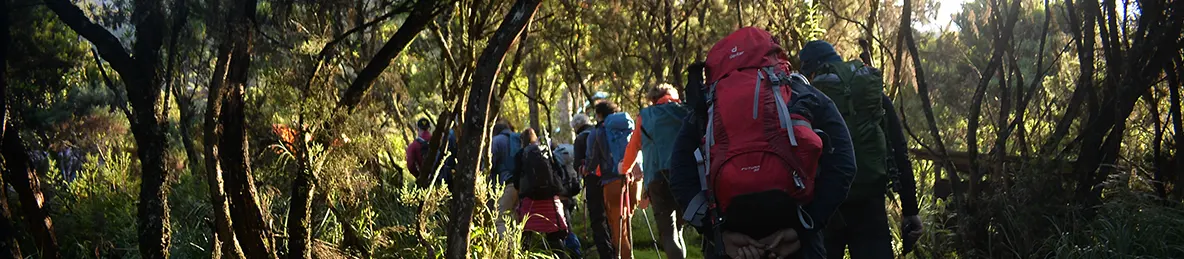 Kilimanjaro Machame Route