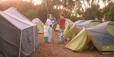 cover-6 Days Express Ascent Trip of Kilimanjaro Hiking Majesty on Machame Route