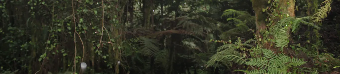 Kilimanjaro Machame Route