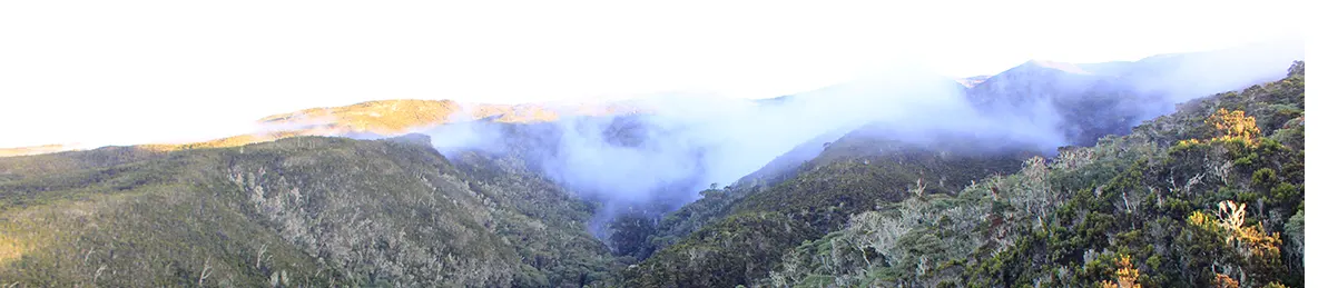 Kilimanjaro Machame Route