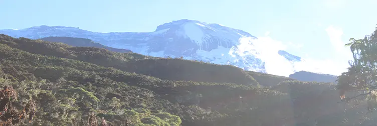 Machame Gate to Machame Camp