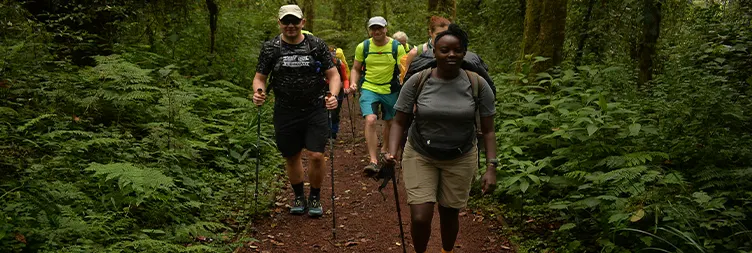 Machame Gate To Machame Camp