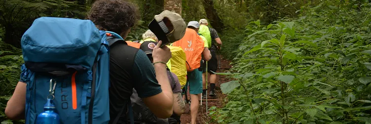 Machame camp to Shira 2 camp 