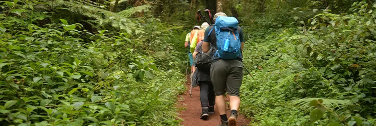Beginning Climbing from Machame Gate to Machame Camp 