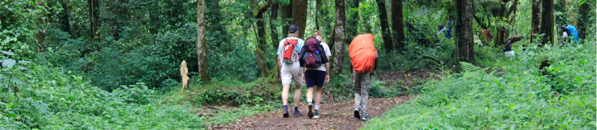 Kilimanjaro Machame Route
