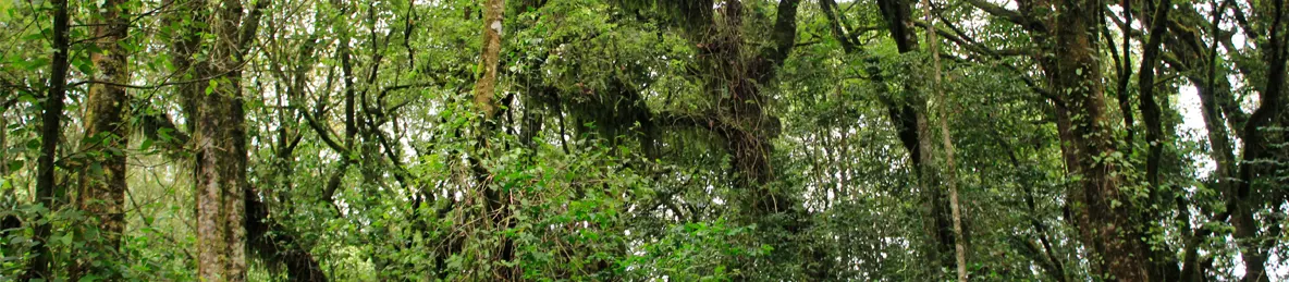 Kilimanjaro Machame Route