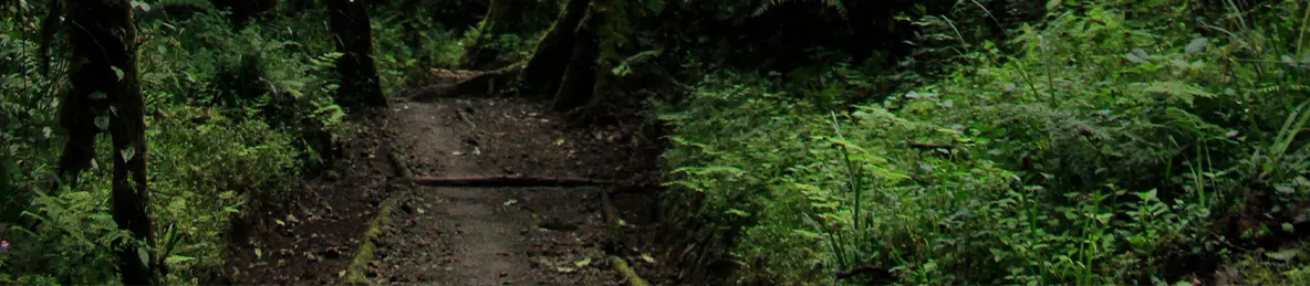 Kilimanjaro Machame Route