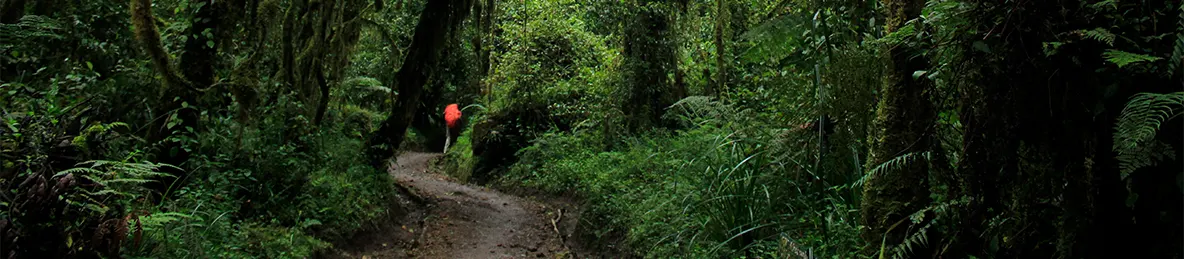 Kilimanjaro Machame Route