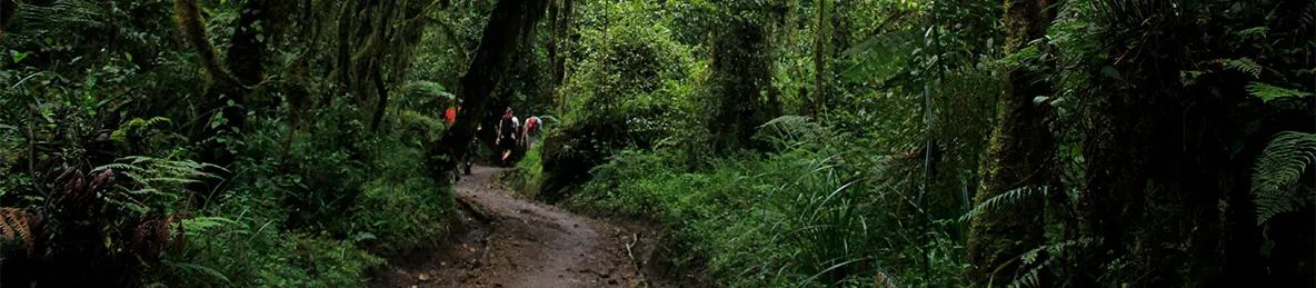 Kilimanjaro Machame Route
