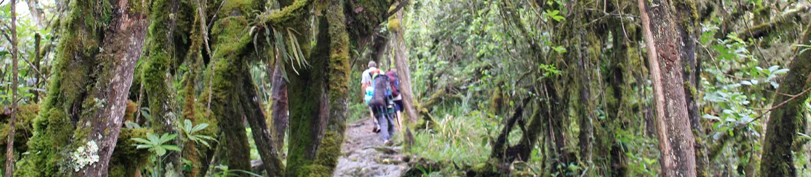 Kilimanjaro Machame Route