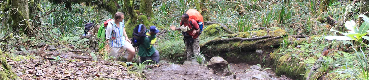 Kilimanjaro Machame Route