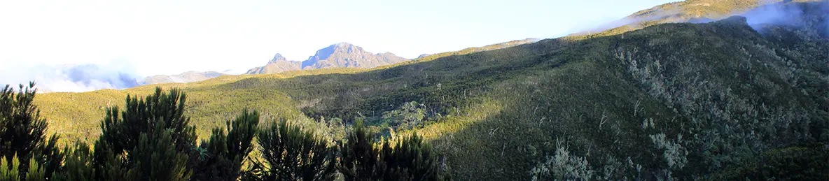Kilimanjaro Machame Route