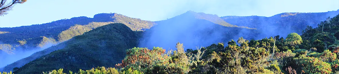 Kilimanjaro Machame Route