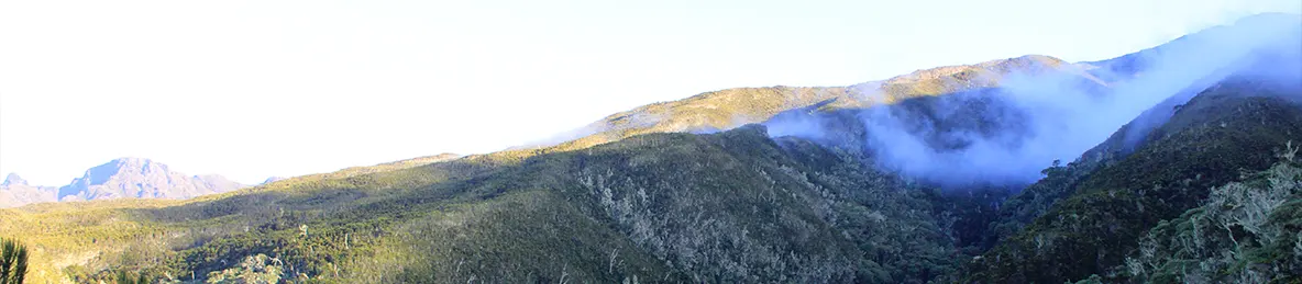 Kilimanjaro Machame Route