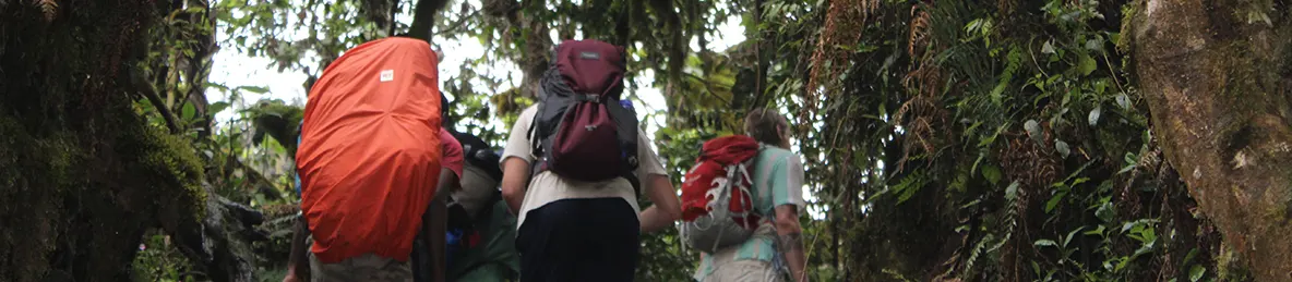 Kilimanjaro Machame Route