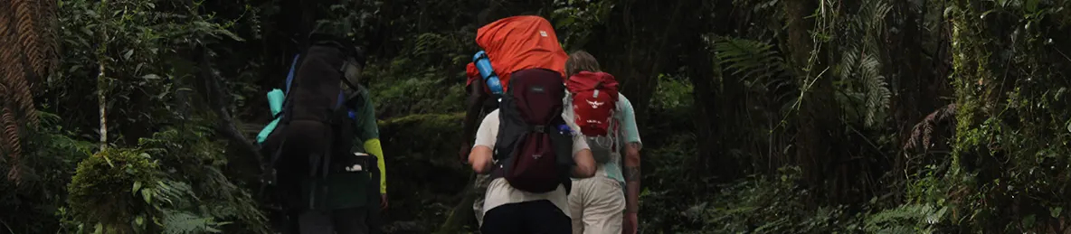 Kilimanjaro Machame Route