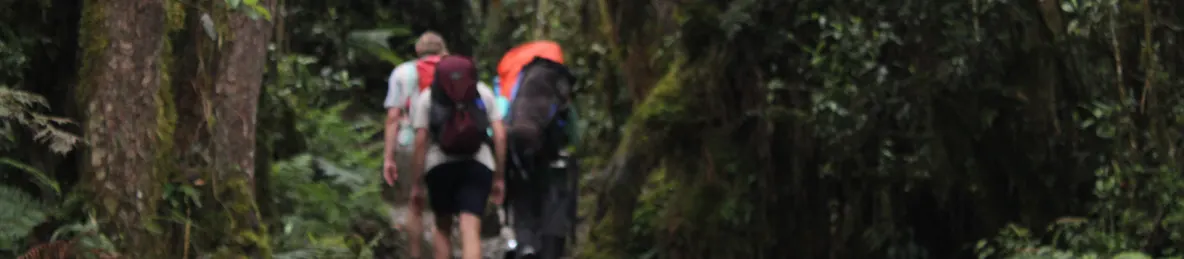 Kilimanjaro Machame Route