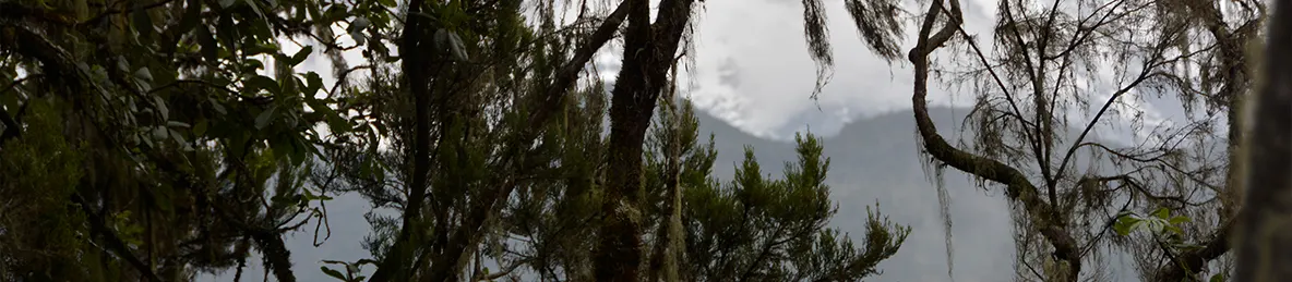 Kilimanjaro Machame Route