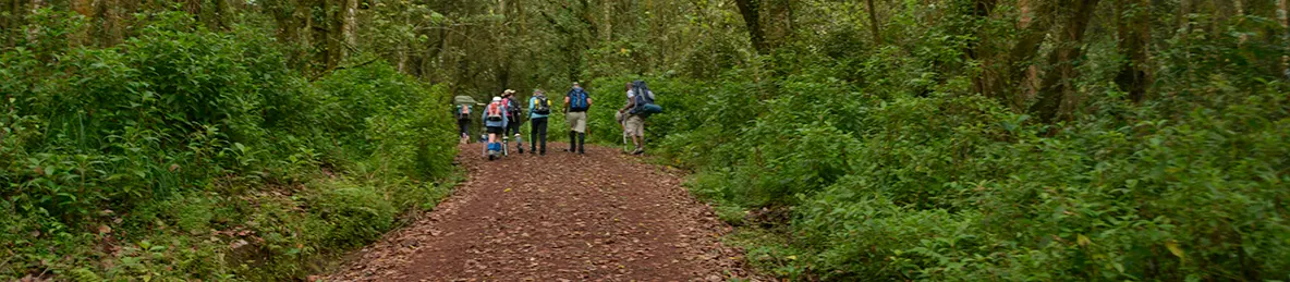 Kilimanjaro Machame Route