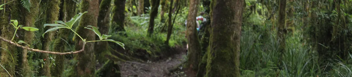 Kilimanjaro Machame Route
