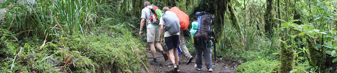 Kilimanjaro Machame Route