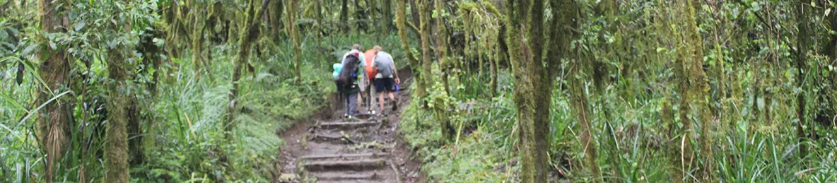 Kilimanjaro Machame Route