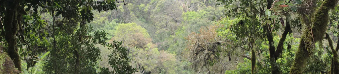 Kilimanjaro Machame Route