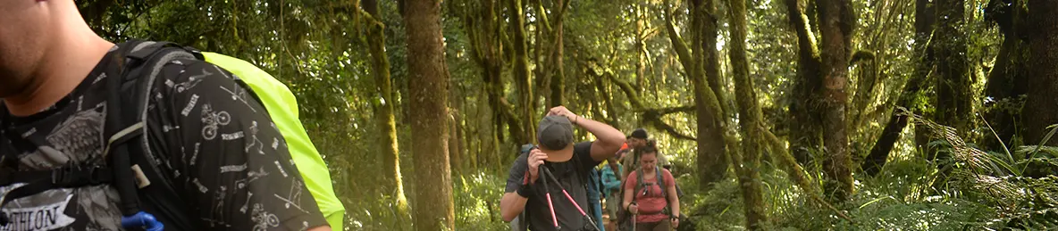 Kilimanjaro Machame Route