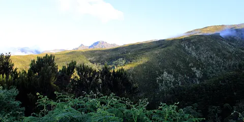 6 days machame 