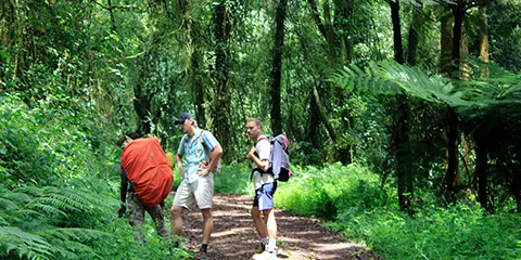 6 Days Kilimanjaro Climbing Machame Route up to the Top