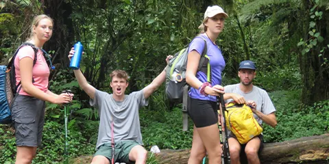 cover-7 Days Majesty Kilimanjaro Trekking via Machame Route