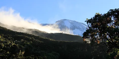 6 Days Machame Magic Kilimanjaro Climb Adventure