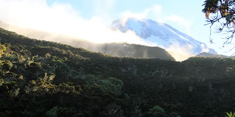 cover-7 Days Kilimanjaro Trekking Tour in Machame Route