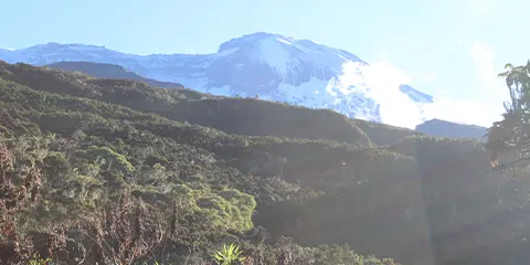 6 Days Kilimanjaro Hiking Machame Route Summit Conquest