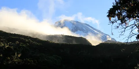 7 Days Machame Route Kilimanjaro Trekking Challenge