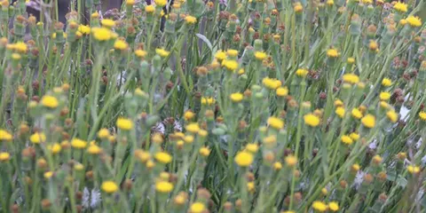 cover-5 Days Marangu Marvel Trip to Kilimanjaro Hiking 