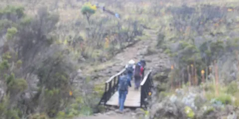 5 Days Trekking to Glory Mt Kilimanjaro via Marangu