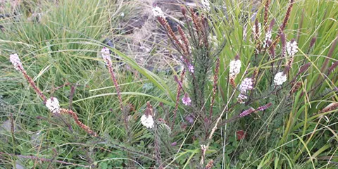 6 Days Marangu Route Hiking to Kilimanjaro Mountain