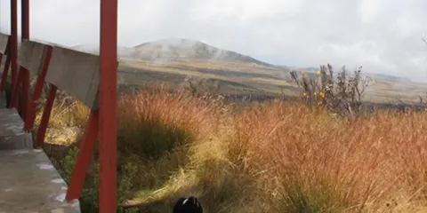 6 Days Summit Serenity Marangu Route Kilimanjaro Trekking
