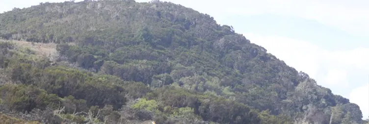 Acclimatization Day at Horombo Hut