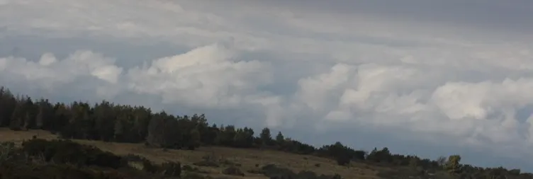 Mandara Hut to Horombo Hut