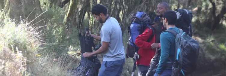 Mandara Hut to Horombo Hut 