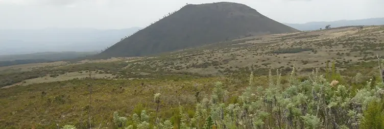 Mandara Hut - Horombo Hut