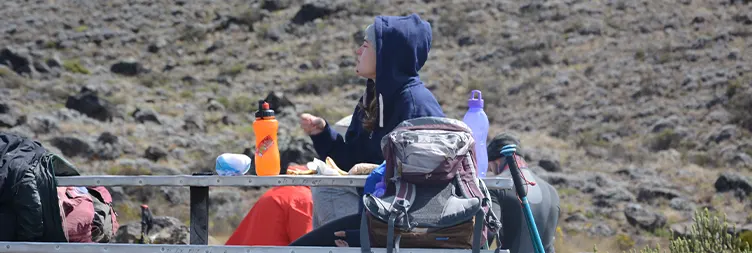 Mandara Hut to Horombo Hut.