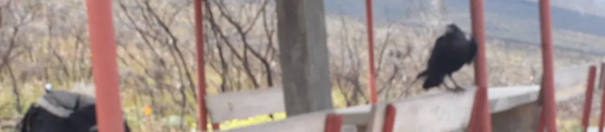 Kilimanjaro Marangu Route 