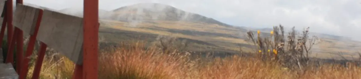 Kilimanjaro Marangu Route 