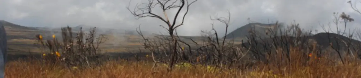 Kilimanjaro Marangu Route 