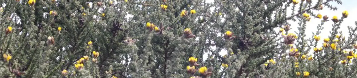 Kilimanjaro Marangu Route 