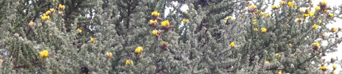 Kilimanjaro Marangu Route 