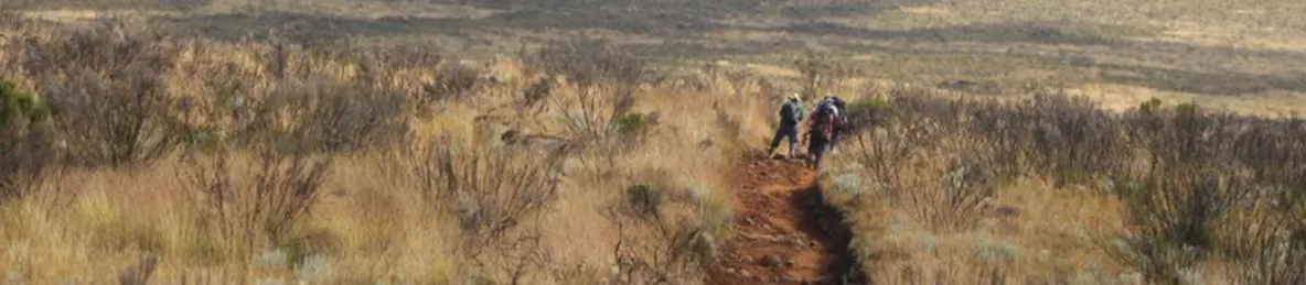 Kilimanjaro Marangu Route 